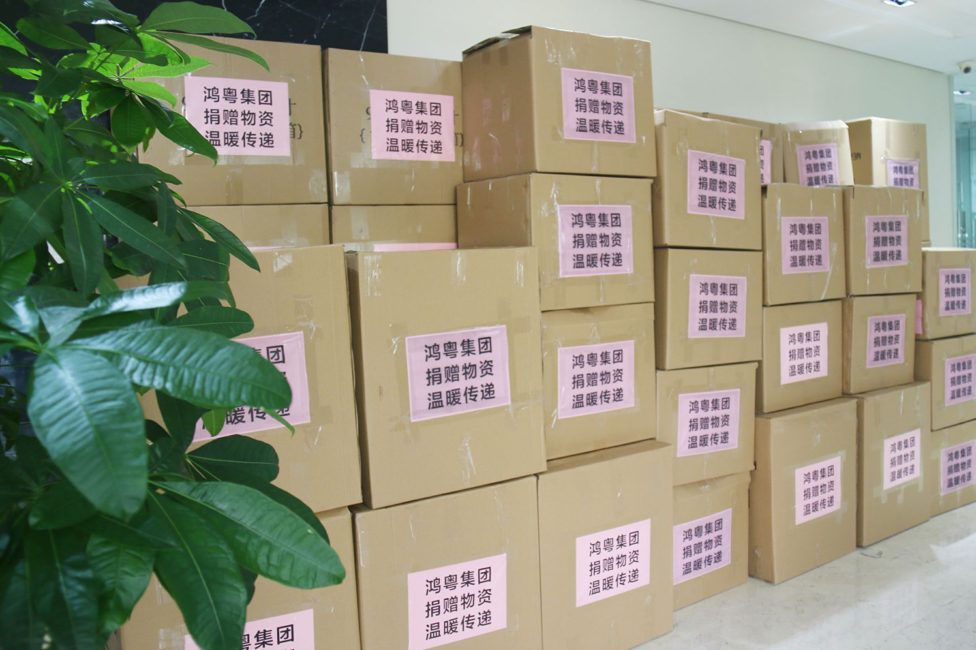 海口振华公共事务管理有限公司公益回顾丨家国同欢月同圆 温暖满载甘孜州(图1)